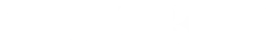 zzzz logo